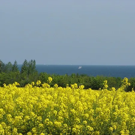 Huk's 20 - Aurora Vista - Abc540 - Nur Feriengaeste! アパート